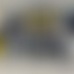 Sechs neue FVN-Kindertrainer für Borussia Veen