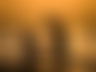 Todo lo que tienes que saber sobre Herederos forzosos y Legítima