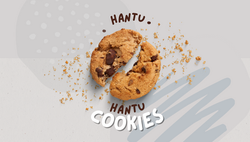 Chocolate Chips (37)