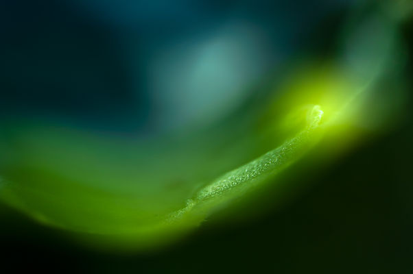 _DSC9254.jpg
