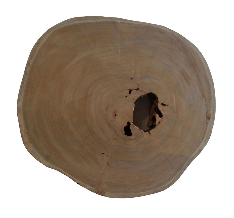 Monkeypod Crosscut