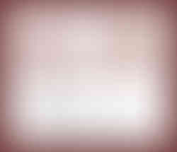 Two sanded mango crosscut wood pieces with text MANC01232 and specifications.