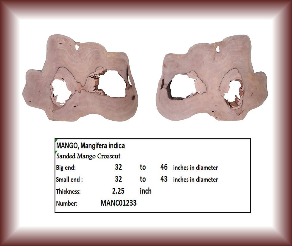 Sanded Mango Croscut, Mango Mangifera indica, 32 to 46 inches diameter, MANC01233.