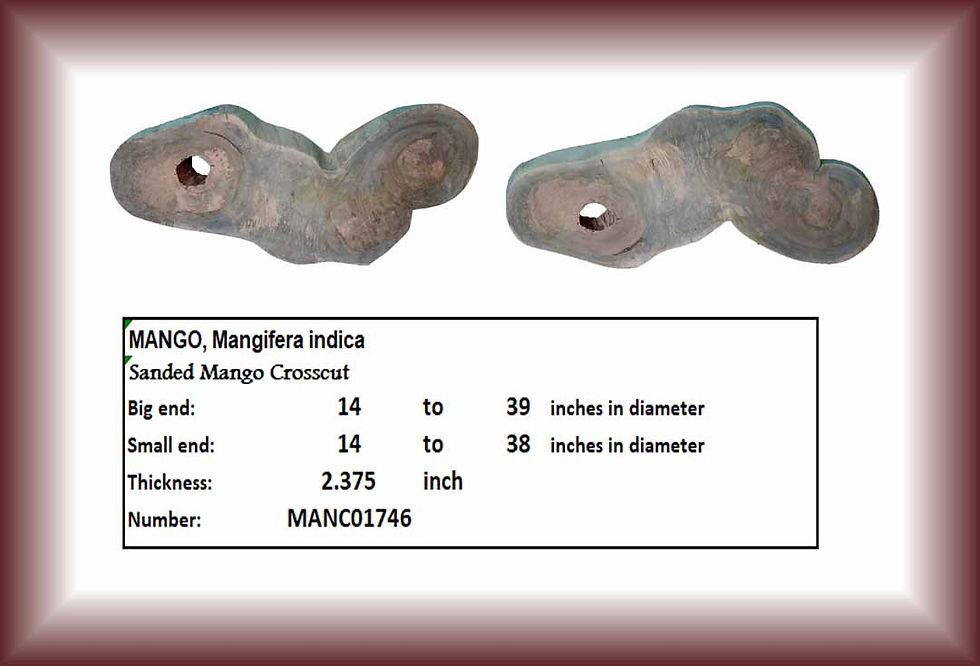 Mango Crosscut with dimensions and specifications, MANC01746 Diamond Tropical Hardwoods