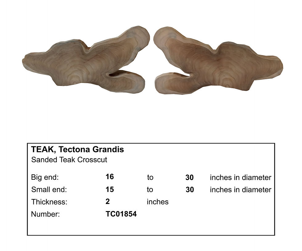 Teak Crosscut