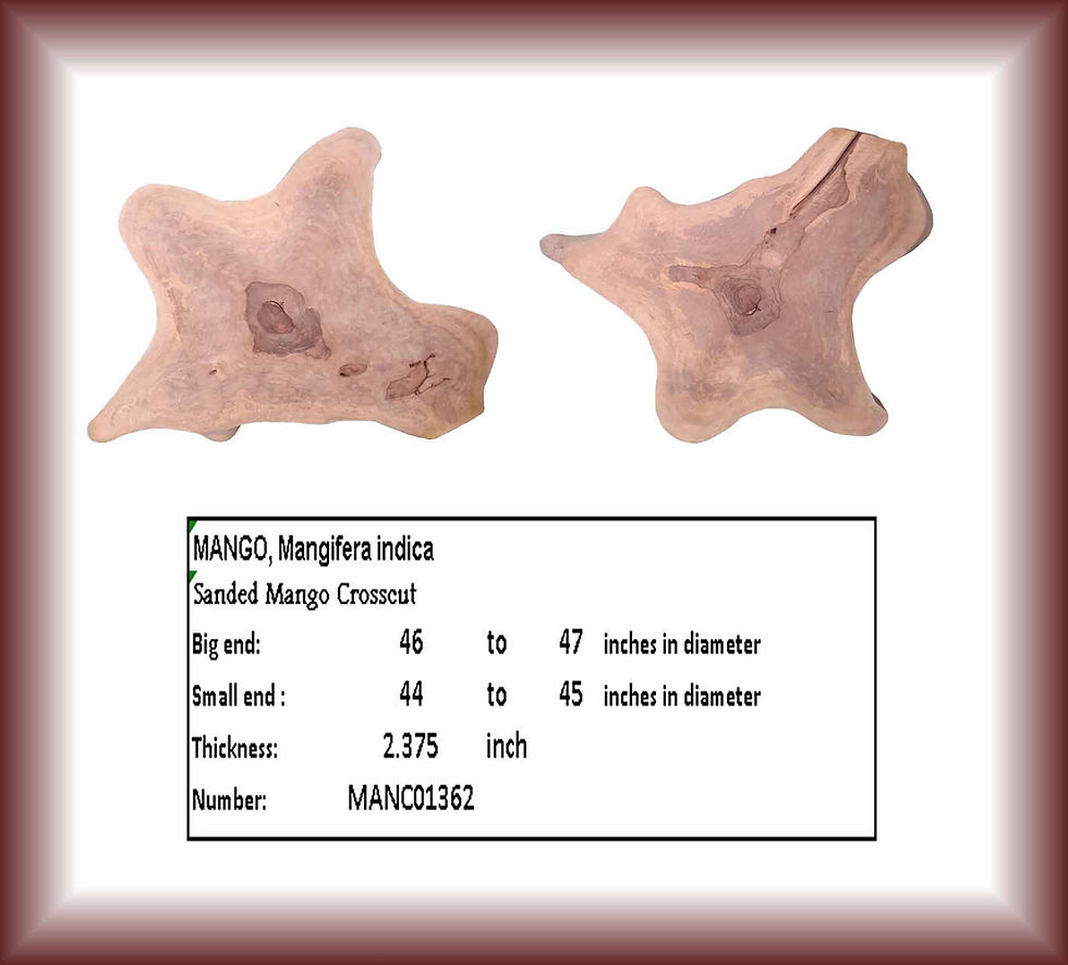 Two Sanded Mango Crosscut pieces, MANC01760 with dimensions and details about the wood.