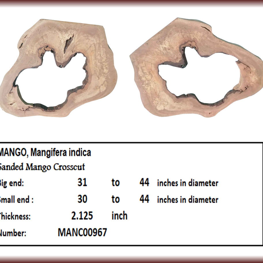 Two mango wood slabs MANGO, Mangifera indica, with measurements, MANC00967, details noted.