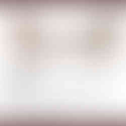 Sanded Mango Crosscut MANC00944 with dimensions and text Mango, Mangifera indica.