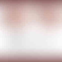 Two sanded mango wood slabs with text: MANGO, Mangifera indica MANC01423 Diamond Tropical Hardwoods