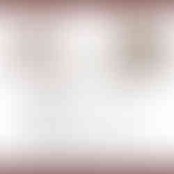 Mango crosscut wood with dimensions, MANGO, Mangifera indica, MANC01158. Diamond Tropical Hardwoods