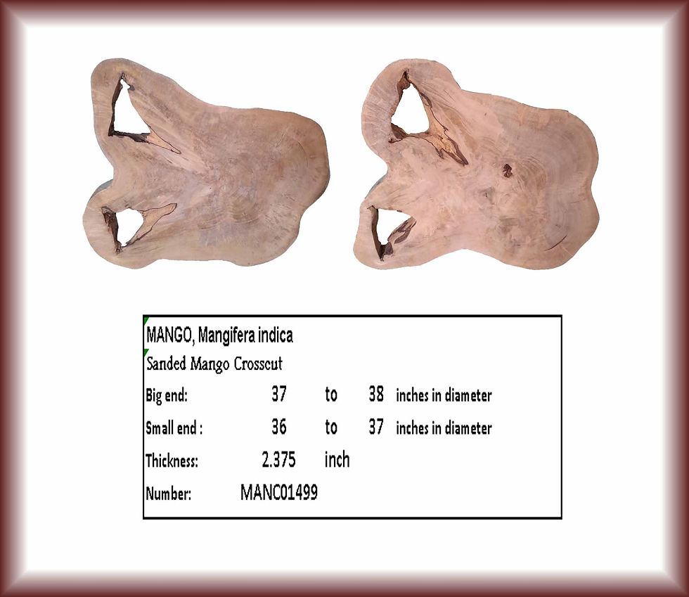 Two sanded mango crosscut pieces with text: Mango Crosscut MANC01760. Diamond Tropical Hardwoods.