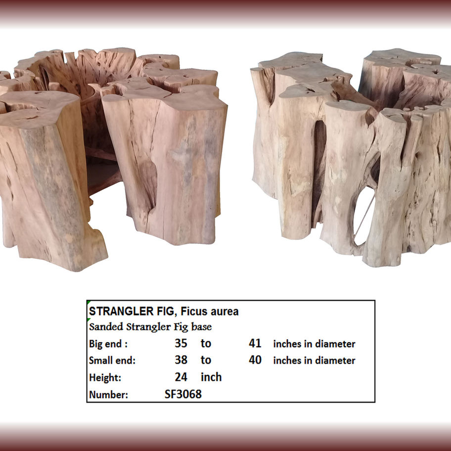 Strangler Fig Base