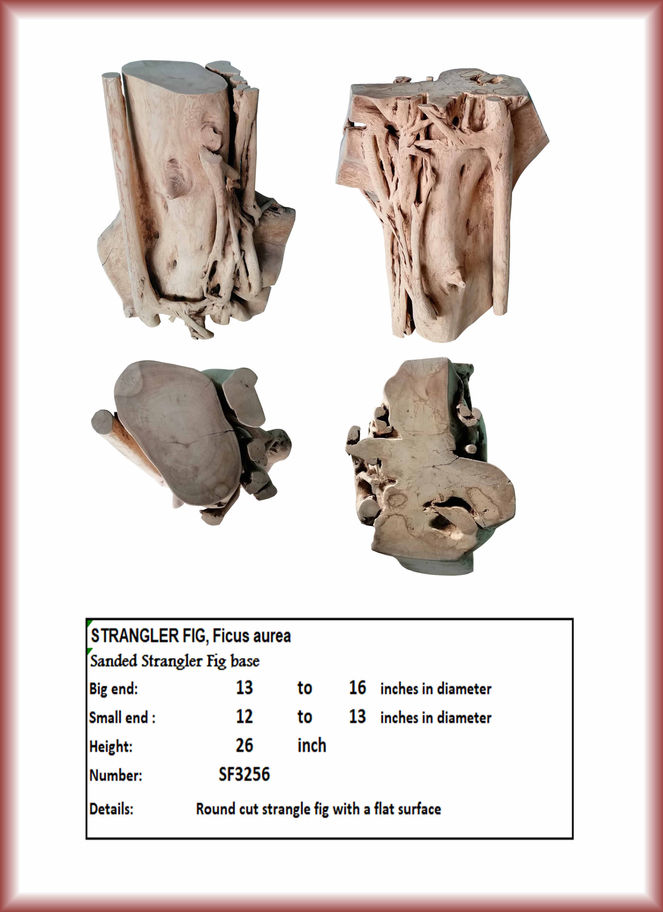 Four views of Strangler Fig base. 13-16 inches diameter. SF3256. Diamond Tropical Hardwoods
