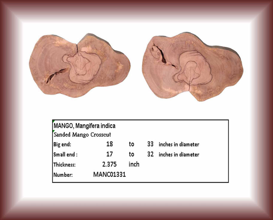 Two sanded mango crosscut wood pieces, MANGO, Mangifera indica detailed information