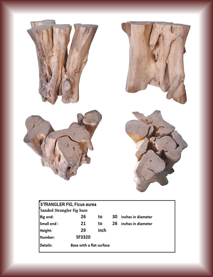 Strangler Fig Base