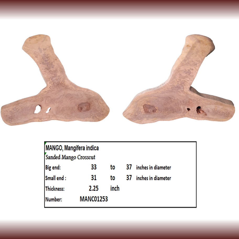 Mango Mangifera indica, Tailed Mango Crosscut, measurements on white background. Diamond Tropical Hardwoods