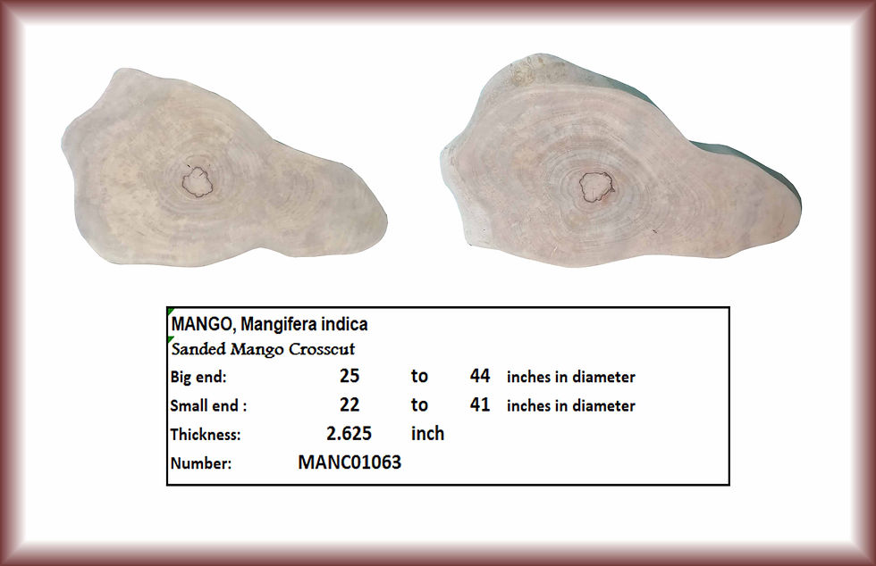 Sanded Mango Crosscut MANC01063 and dimensions, 25 to 44 inches in diameter