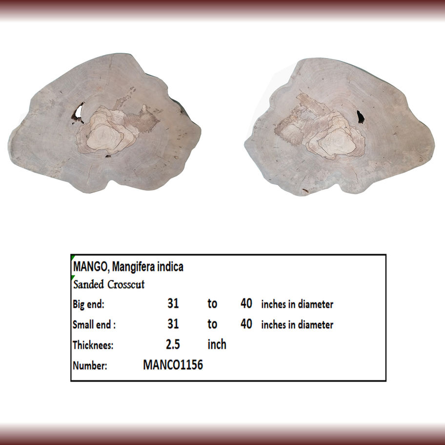 Two sanded crosscut pieces with text MANGO Mangifera indica Diamond Tropical Hardwoods