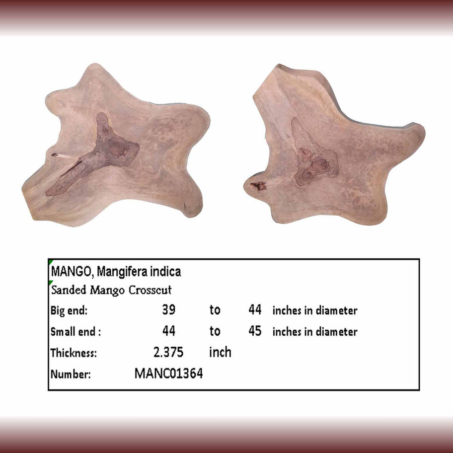 Two pieces of sanded mango crosscut with text MANCO1760; 39-44 inches diameter.