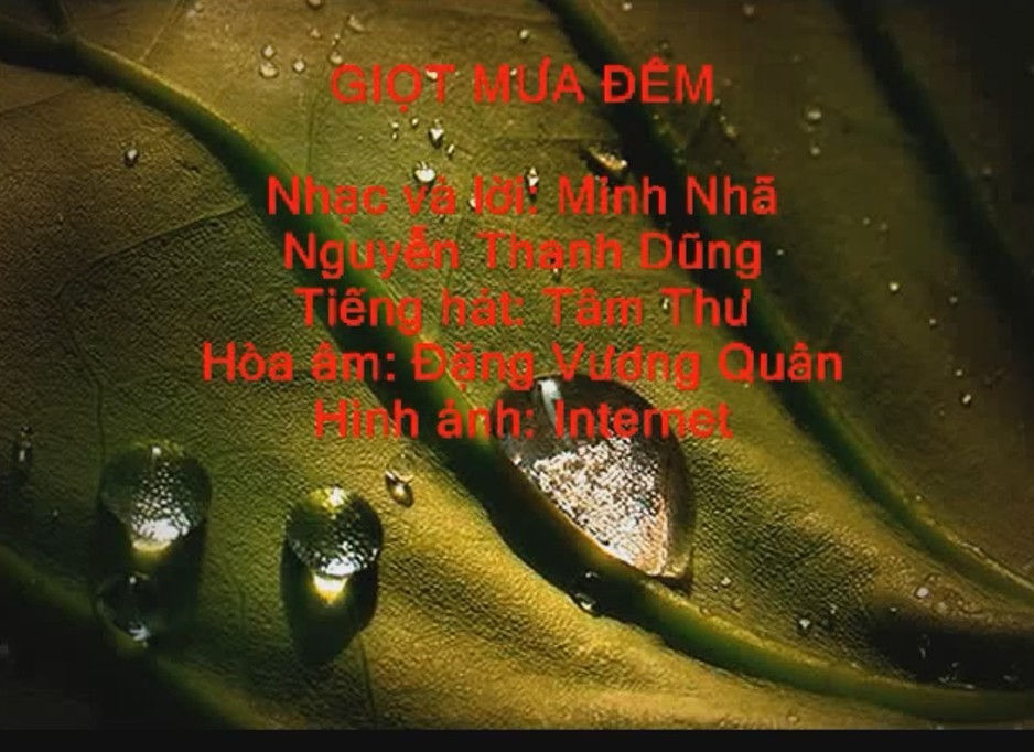 YOUTUBE-GIỌT MƯA ĐÊM