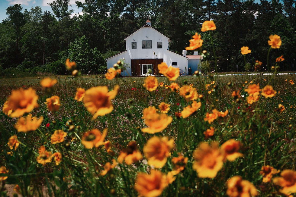 060720 Cropper Wedding 0020-11317.jpg