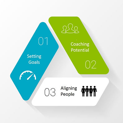 Roles of a Leader