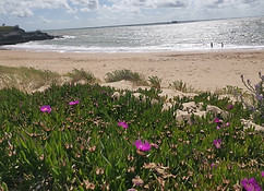 pays-basques-vacances-handicap