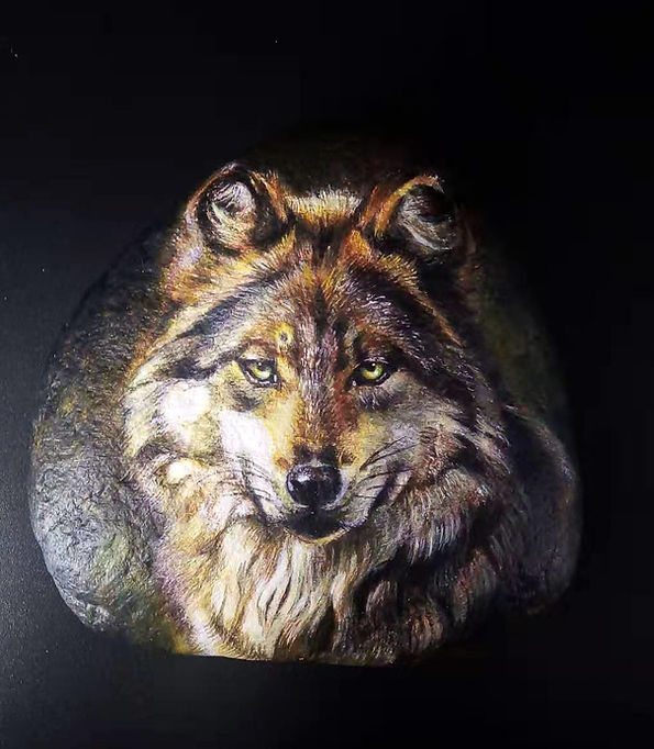 North American Gray Wolf | Acrylic