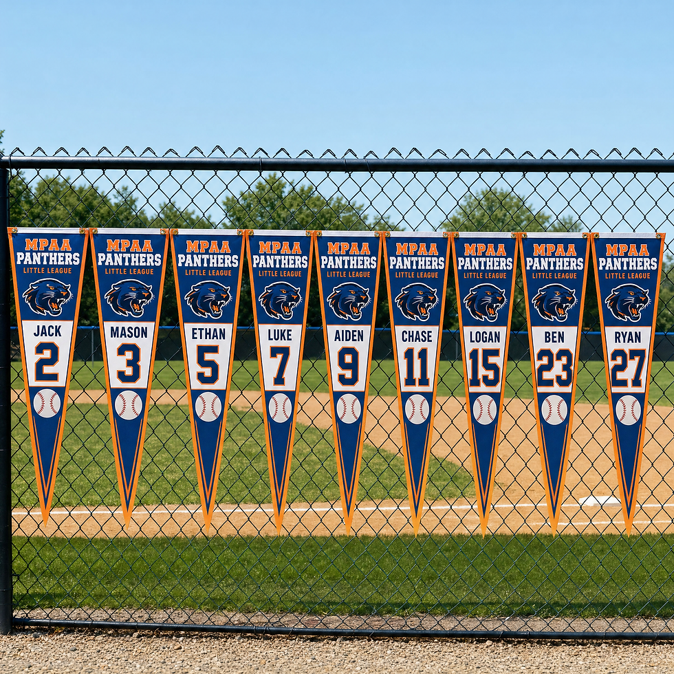 BANDERINES DE LA VALLA EXHIBIDO PARA LA LIGA INFANTIL DE BÉISBOL