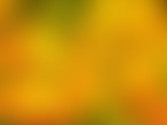 Kragsbulletin oktober 2017