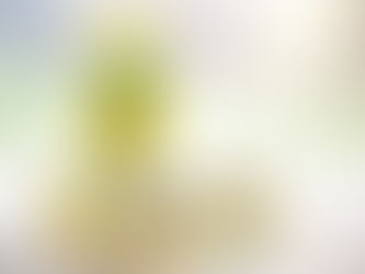 Kragbulletin 26. mars