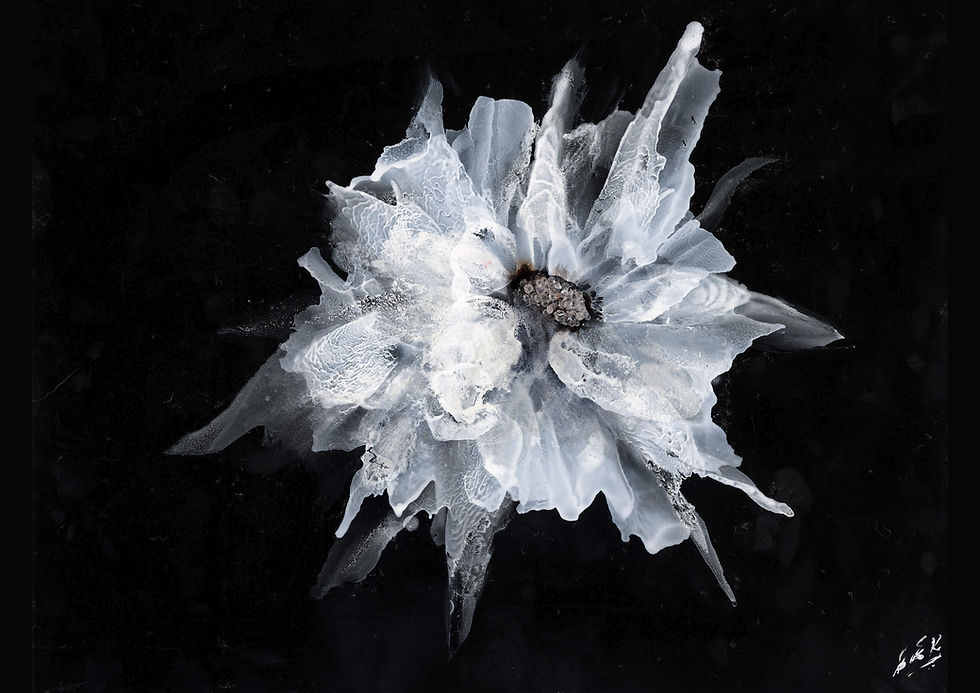 The History of Art in Rossendale