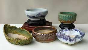 Finally I have a site