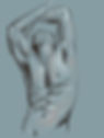 Torso Study