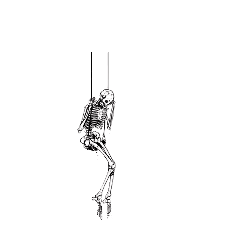 24b314581086b80398a001dae71b14a4.gif