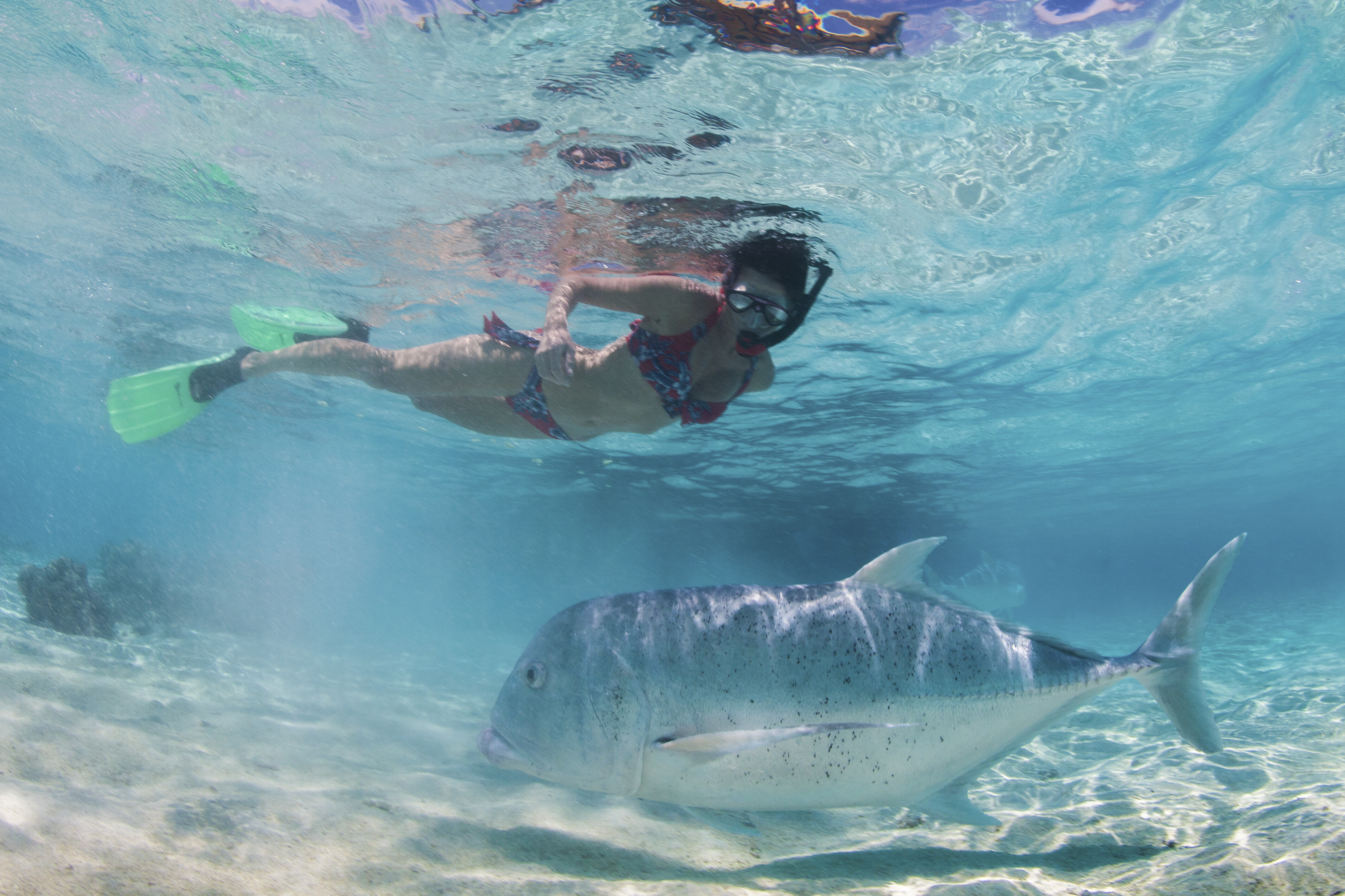 Cook Islands