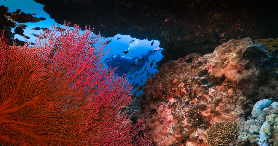 Ben and Di underwater video and photography services