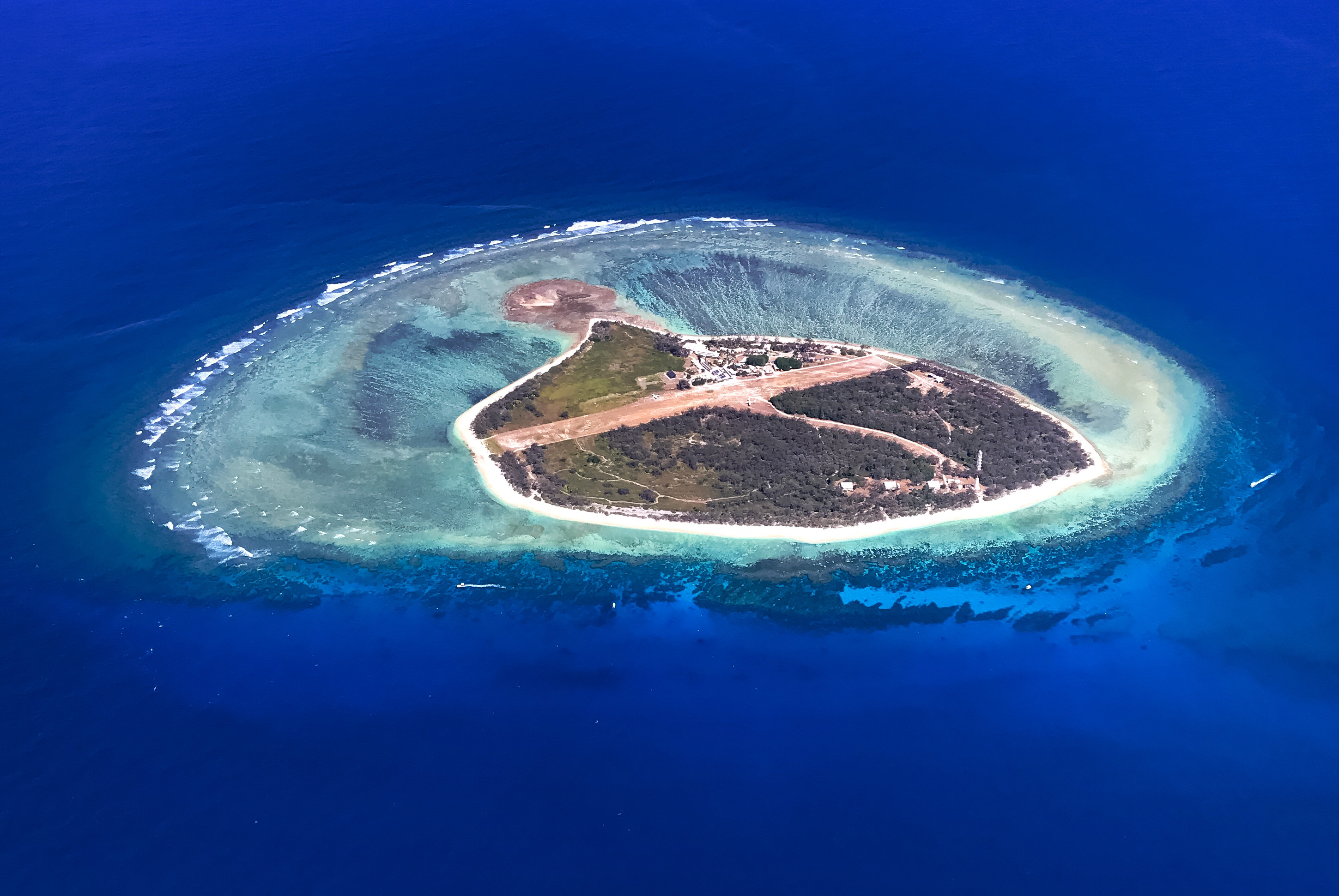 Lady Elliot Island, QLD, Australia