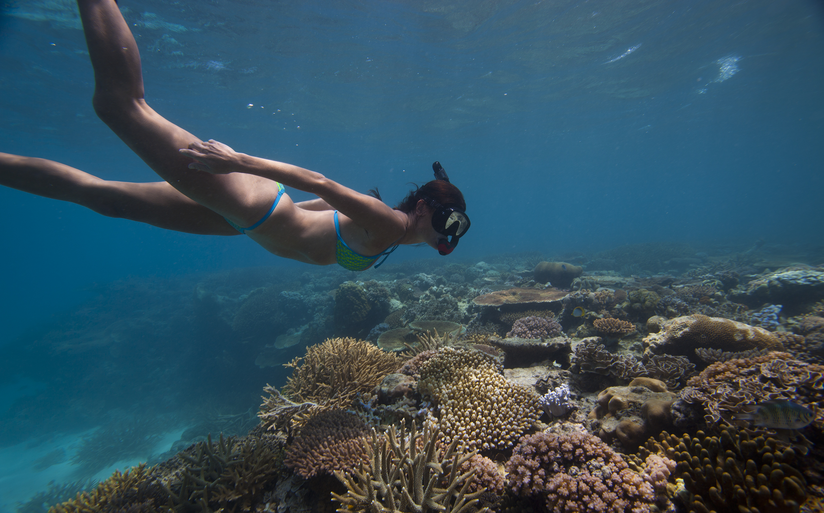 The Great Barrier Reef