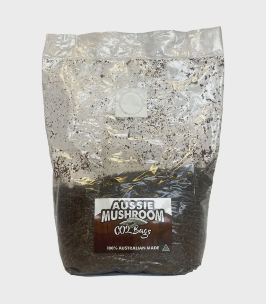 Aussie Mushrooms Grow Kit