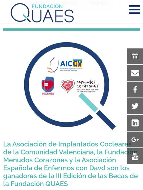 BECAS FUNDACIÓN QUAES 2019