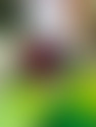 TALLER DOCENTES JUSTO DE LA VEGA