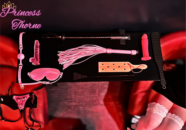 ToyDisplayLOGO.png