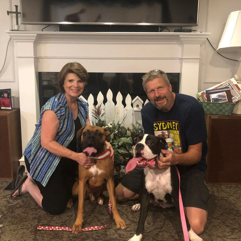 Rocko | Adopted 9-9-19