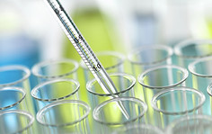 Feasibility study for a patent enforcement insurance product for an international insurance company.