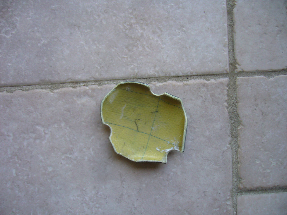 Miniature : Protection carter allumage à coller ZX6R 2005-2006