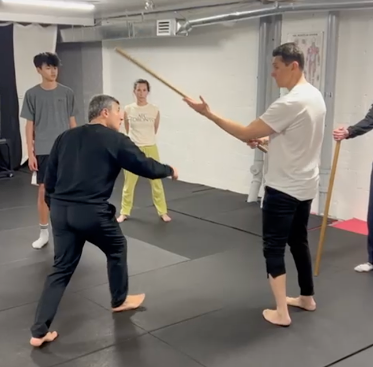 systema stick work
