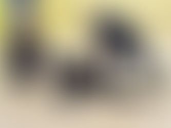 Training with Constraints