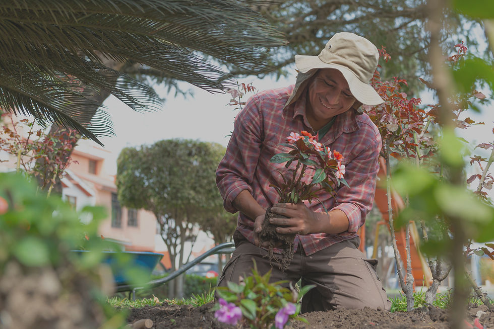 Plantando flores