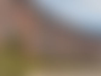 The rise of the detached dwelling